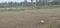 H V RAJIVA TOWNSHIP DANAGALLI Main Image 1