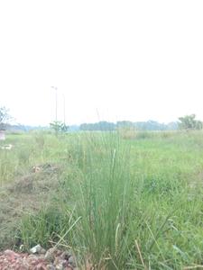 Image of 1440 Sq.ft Residential Plot / Land for sale in Fresco Fountain City Plots, Sankharipota, Raypur for Rs. 480000