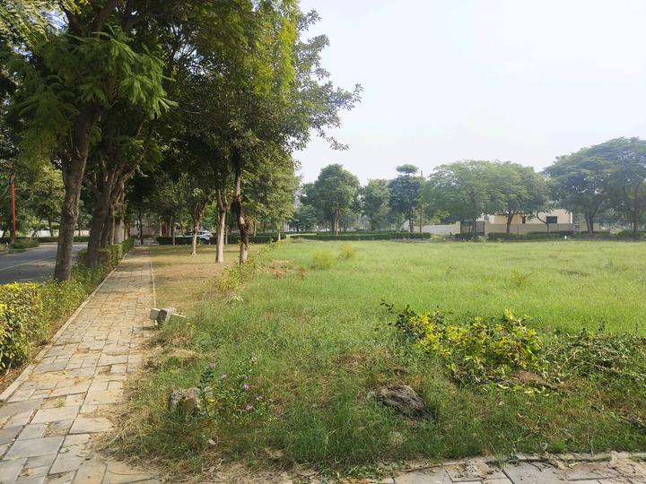 Vatika Xpressions Main Image 1