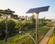 New township  Main Image 1