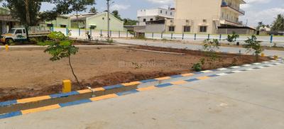 Park Avenue Plot View 2