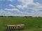 Mahindra World City Plot View 2