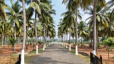 Image of 9600 Sq.ft Residential Plot / Land for sale in Panjappur, Tiruchirappalli for Rs. 8900000