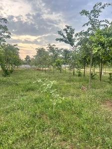 Image of 111 Sq.ft Residential Plot / Land for sale in Kothavalasa, Visakhapatnam for Rs. 666000