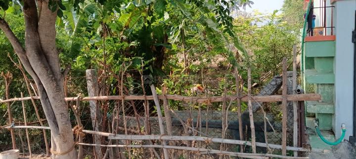 Udayapatti Main Image 1