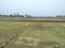 Orchard Green  Main Image 1
