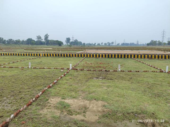 Orchard Green  Main Image 1