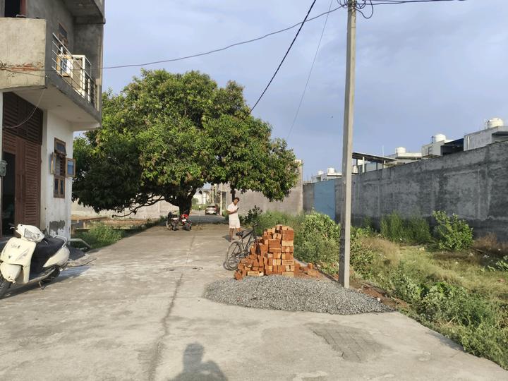 Chhapraula Main Image 1