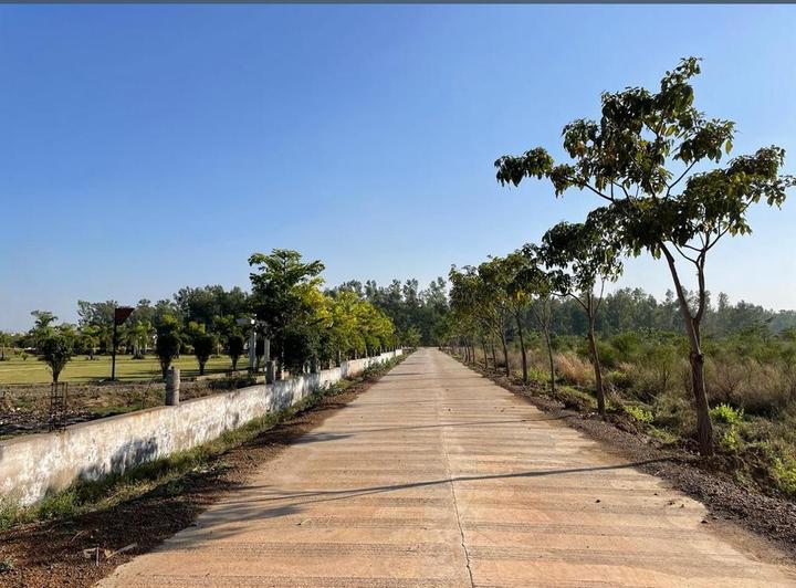 Aranya City Of Woodland Main Image 1