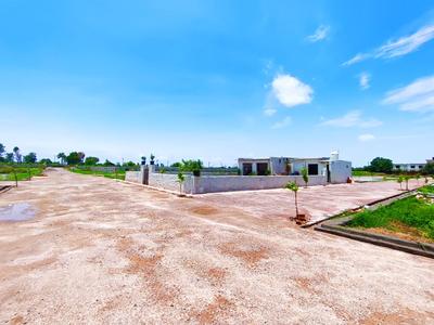 Residential Plot
