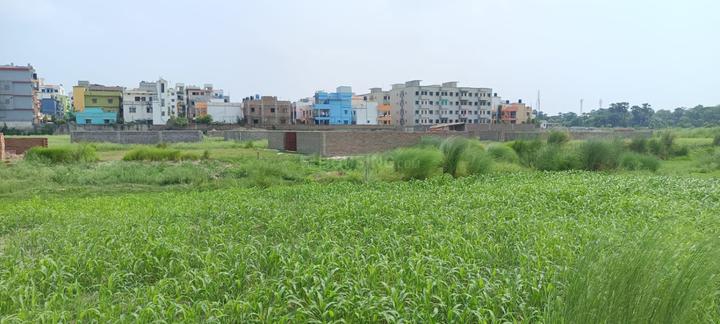 New Apna Vihar Main Image 1