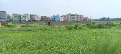 New Apna Vihar Plot View 1