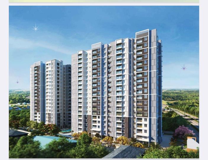 Pride Euphora Main Image 1