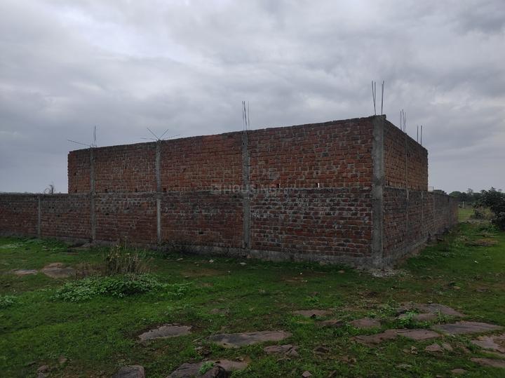 Star farm Main Image 1