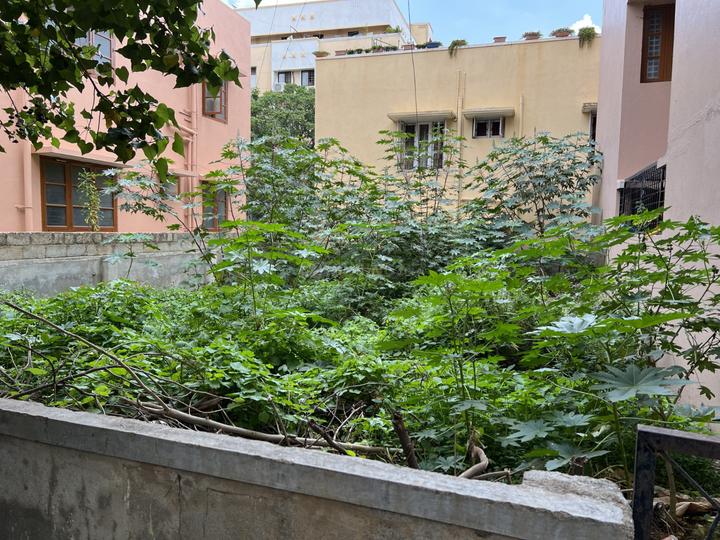 Coconut Grove Layout, Horamavu Main Image 1