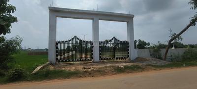 Bihta Plot View 1
