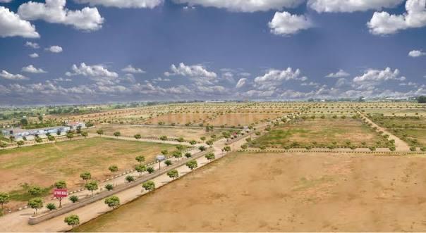 AURAA FARMS Main Image 1