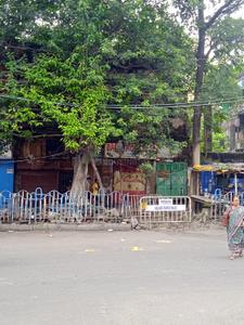 Image of 3456 Sq.ft 10 BHK Independent House for sale in Kalighat, Kolkata for Rs. 65000000