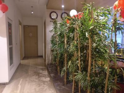 Balcony Image of 8100 Sq.ft 5 BHK Apartment / Flat for sale in M2K Victoria Gardens, Ashok Vihar New Delhi for Rs. 95000000