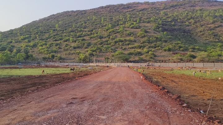 Thagarapuvalasa Main Image 1