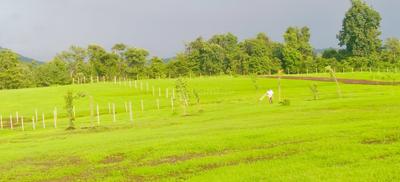 Image of 11111 Sq.ft Residential Plot / Land for sale in Shahapur, Thane for Rs. 2739000