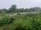 Hinjawadi Phase 2 Main Image 1