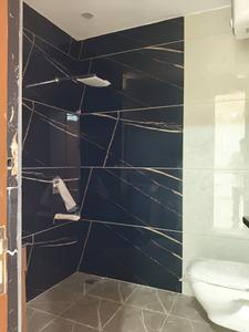 Common Bathroom Image of 2200 Sq.ft 4 BHK Builder Floor for sale in Sector 57 Gurgaon for Rs. 27500000