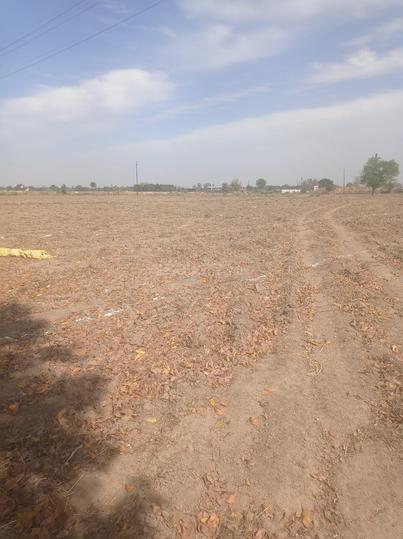 Sector 16 Greater Noida West, Noida Extension Main Image 1