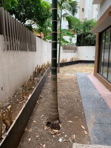 Image of 6000 Sq.ft 5 BHK Villa for sale in Bavdhan, Pune for Rs. 72000000