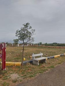 Annur Plot View 2