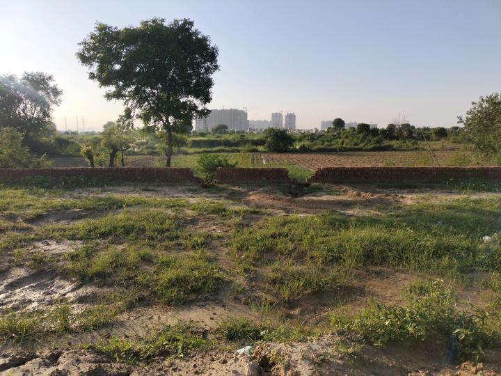 Virasat Royal Paradise Main Image 1