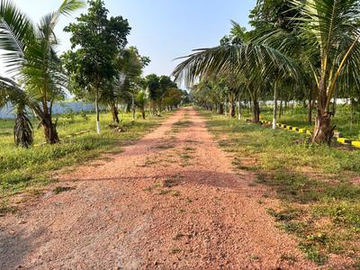 Image of 111 Sq.ft Residential Plot / Land for sale in Kothavalasa, Visakhapatnam for Rs. 666000