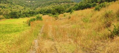 Image of 11000 Sq.ft Residential Plot / Land for sale in Varve Khurd, Pune for Rs. 2100000