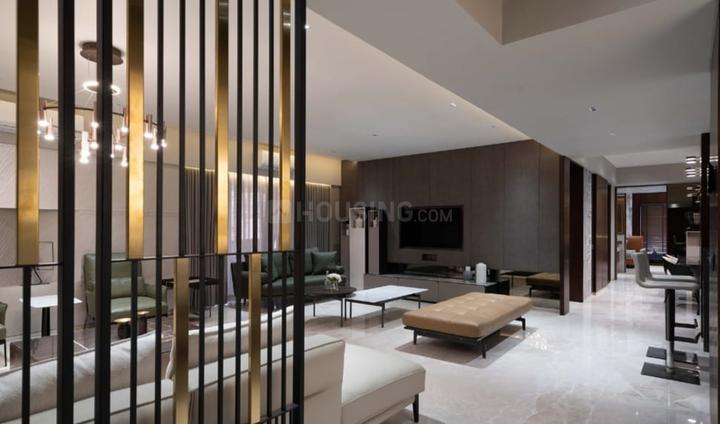 Orchid Harmony Main Image 1