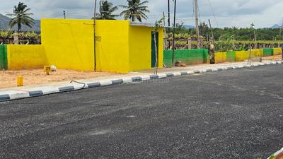 Residential Plot