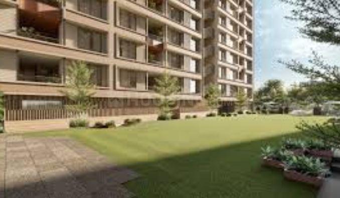 Venus Pashmina Main Image 1