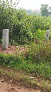 Image of 1568 Sq.ft Residential Plot / Land for sale in Andharua, Bhubaneswar for Rs. 2500000