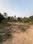 Chitpady Plot View 2