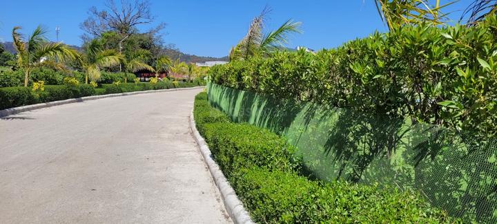 Ramnagar Main Image 1