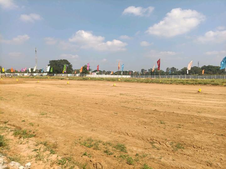 Golden City Main Image 1