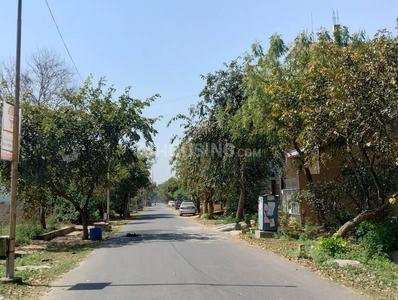 Block C Plot View 1
