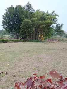 Image of 1500 Sq.ft Residential Plot / Land for sale in Aarone County Walk Plots, County Walk Township, Indore for Rs. 8550000