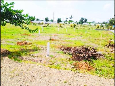 Royal Meadows Plot View 2