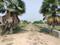 Sherpur  Main Image 1