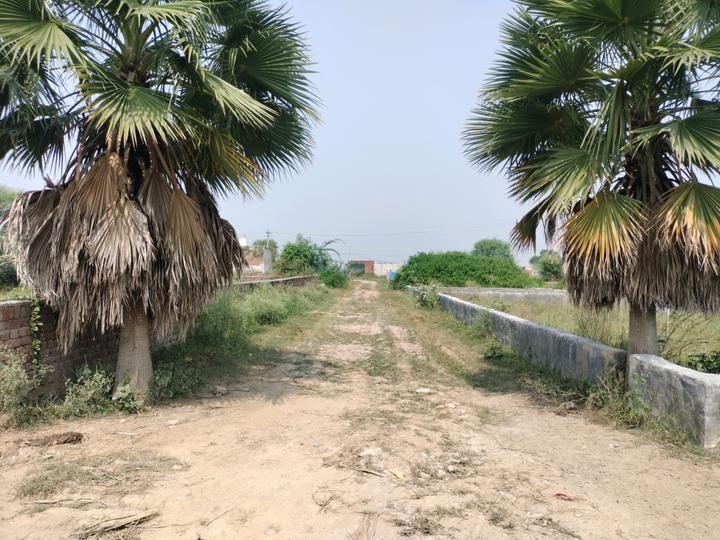 Sherpur  Main Image 1