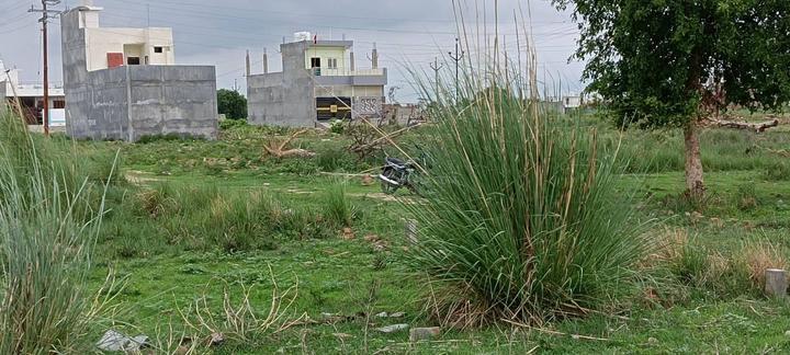 Shikhar green Main Image 1