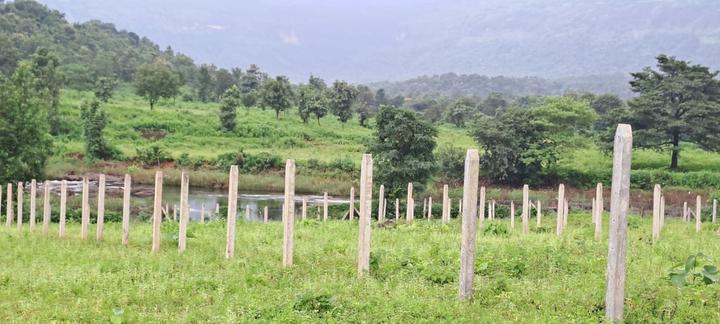 Tawle River Rain Valley Main Image 1