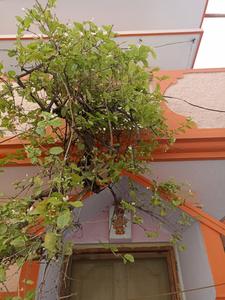 Balcony Image of 4000 Sq.ft 7 BHK Independent House for sale in Banaswadi Bengaluru for Rs. 16000000