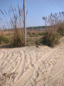 Image of 3000 Sq.ft Residential Plot / Land for sale in Suman Nagar, Haridwar for Rs. 1900000