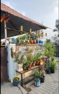Image of 1200 Sq.ft 2 BHK Villa for sale in Manoharpur, Moradabad for Rs. 16000000
